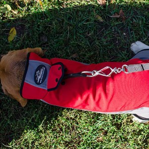 Накидка для бигля «Raincoat Cape»